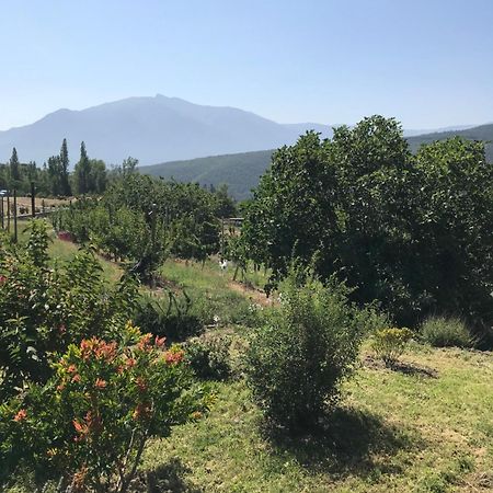 Els Pirineus Apartment Moltig les Bains Екстериор снимка