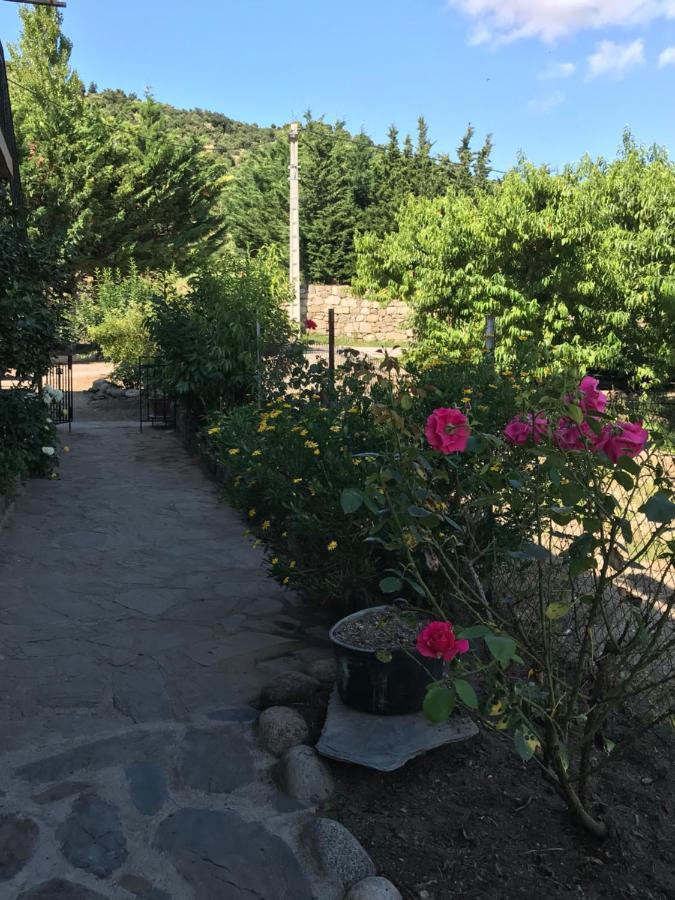 Els Pirineus Apartment Moltig les Bains Екстериор снимка